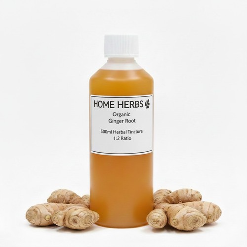 Ginger root organic tincture - root,