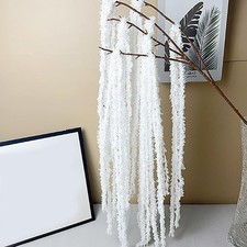 Simulation Green Plants