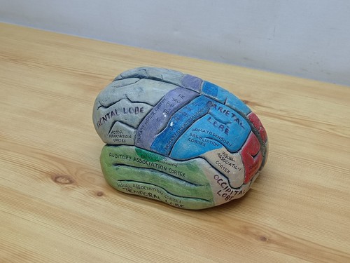 Vintage retro anatomical - vintage,