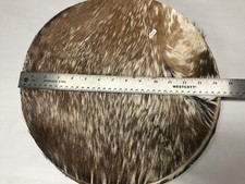 ✅14” Goat Skin Drum Heads