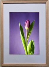 LW GOLD / SILVER / BLACK / OAK  FRAME  WITH WHITE MOUNT 1300 Microns White core