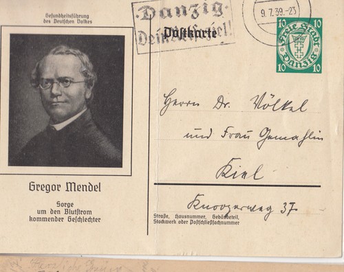 Danzig 1939 special postcard - danzig,