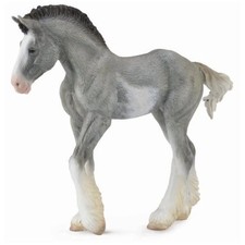 Clydesdale Foal Blue Roan