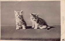 FAMILY HISTORY - POSTCARD -