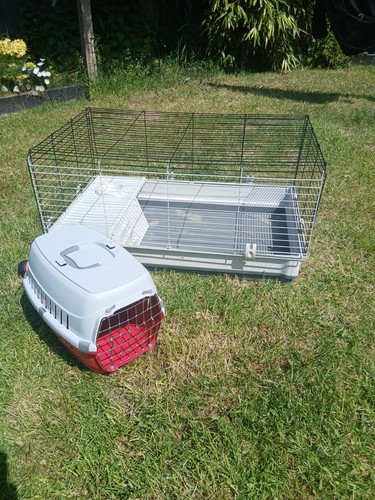 Guinea pig cage - guinea,