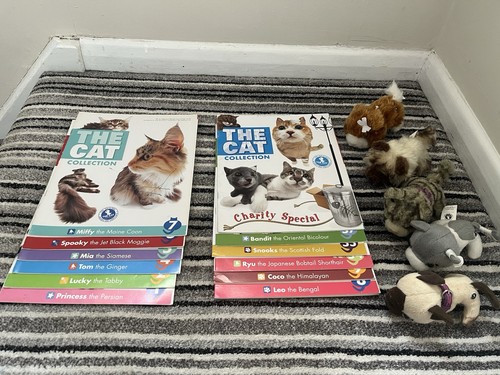 Bundle the cat - of,