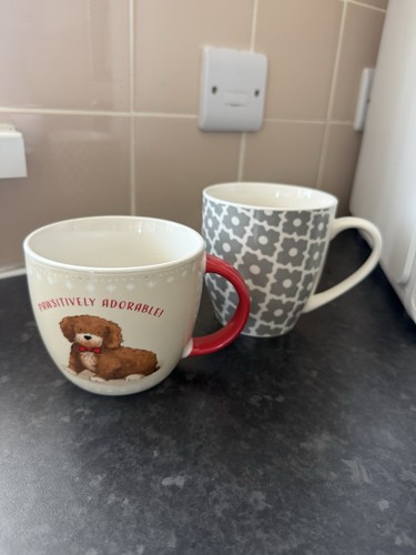 Pair mugs large sized - pair,