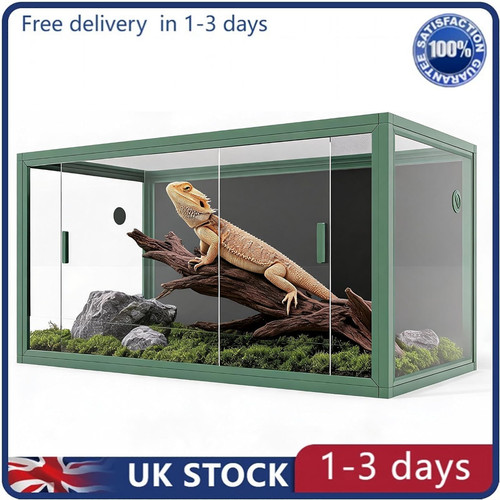 Gallon bearded dragon - gallon,