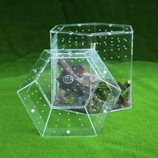 Reptile Terrarium Acrylic