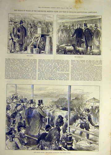 Original old antique print - original,