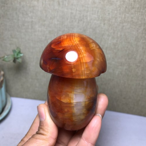 Natural red agate - agate, mushroom