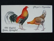 No.20 OLD ENGLISH GAME SPANGLED Poultry by John Player & Sons 1931 CHICKEN FOWL