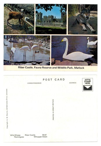 Postcard riber castle - postcard, castle,