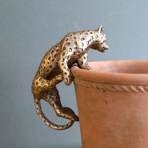 Cheetah plant pot - cheetah, hanger