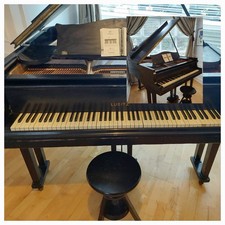 Lubitz Baby Grand