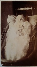 1880'S ANTIQUE CDV PHOTOGRAPH