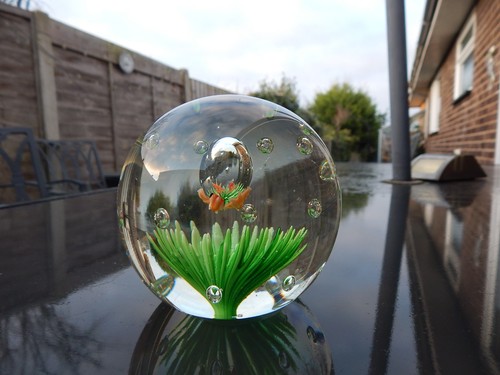 Art glass paperweight ocean - art,