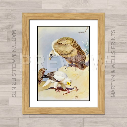 Archibald thorburn print - archibald,