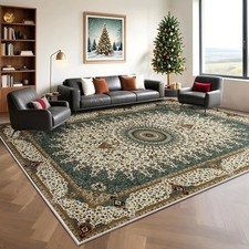Area Rug for Living Room