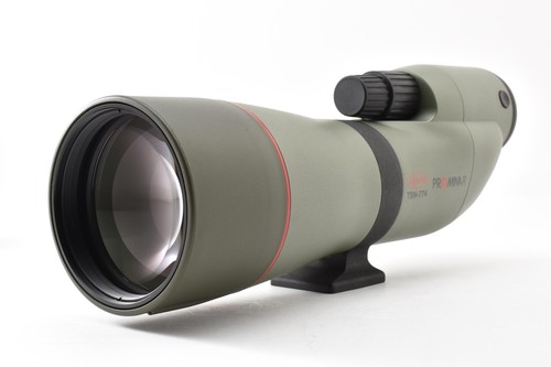 Almost mint kowa tsn - [almost, mint]