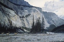 Riverbed elk brent - riverbed,