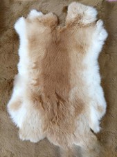 Real rabbit skin fur pelt - rabbit,