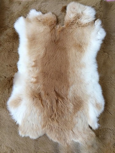 Real rabbit skin - fur, pelt