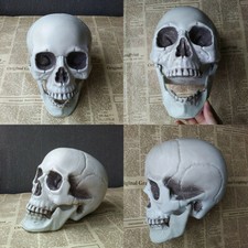 Halloween Artificial Skull