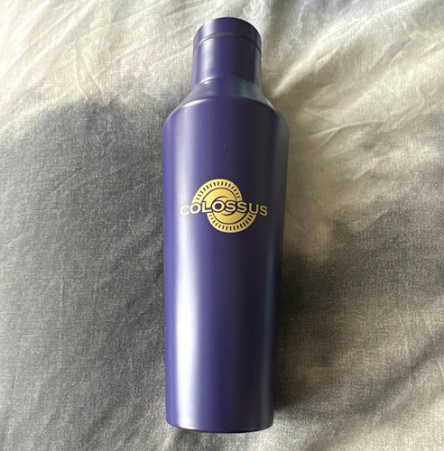 Thorpe park colossus - thorpe, purple