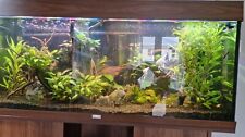 Fish Tank (Juwel Rio)