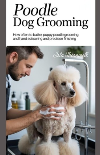 Poodle dog grooming - poodle,