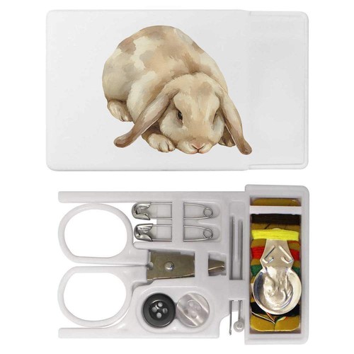 Lop eared rabbit mini - 'lop,