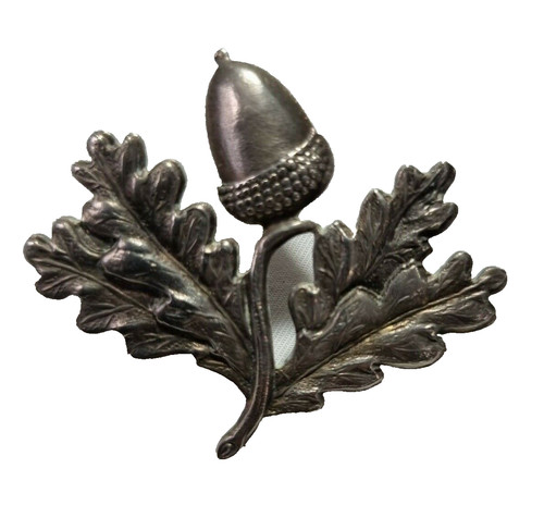 South nottinghamshire hussars - south,