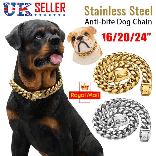 Heavy duty dog collar - dog,