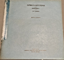 April's Kittens (Braille for