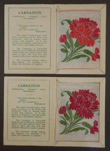 Carnation colour variations - carnation,