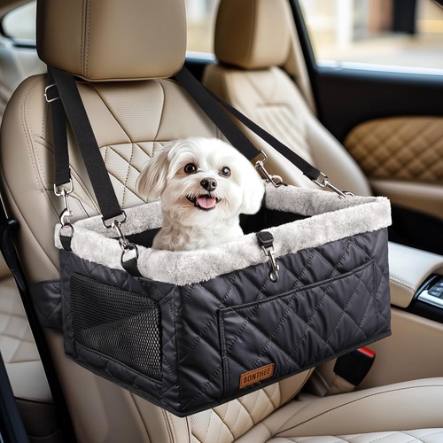 Dog booster car - dog,