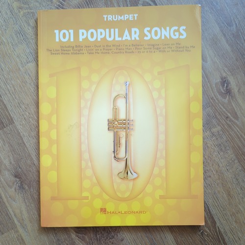 101 popular songs book - popular,