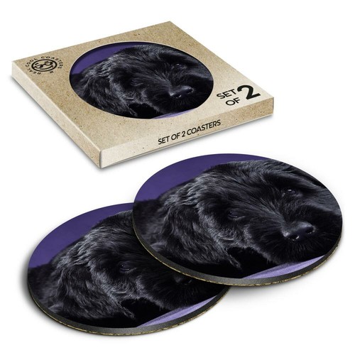 Boxed round coasters - x,