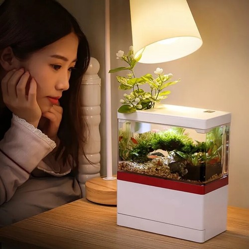 Mini fish tank with filter - fish,
