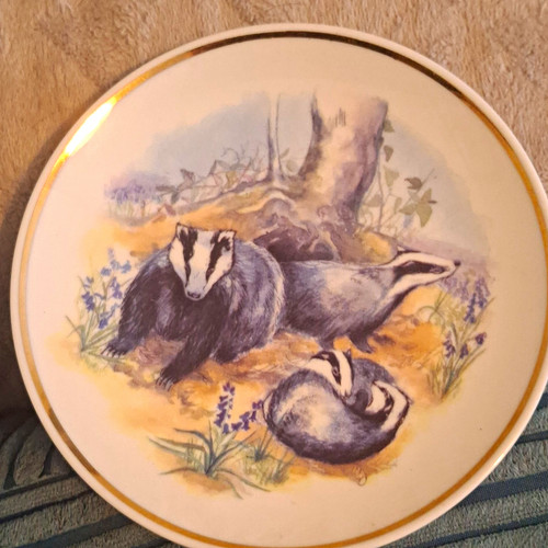 Reader digest wildlife of - digest,
