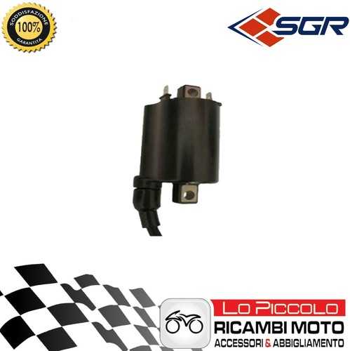 External ignition coil 12v - external,