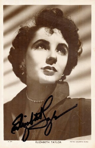 Elizabeth taylor actress - taylor,