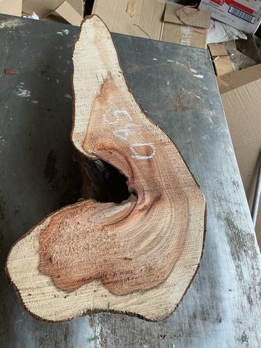Yew blank - yew,yew, blank,yew