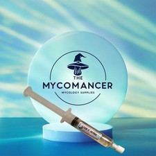 Lions Mane Live Culture Liquid 10ml  Sterile And Agar Tested