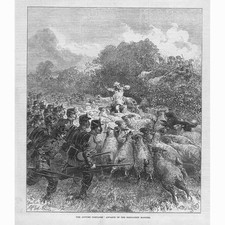 MILITARY The Connaught Rangers on the Autumn Campaign - Antique Print 1872