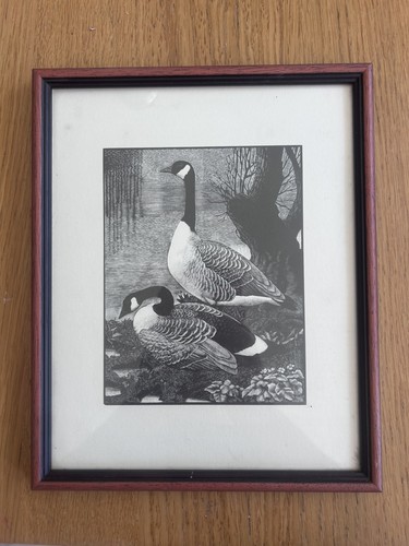 Canada geese 1939 - geese,,