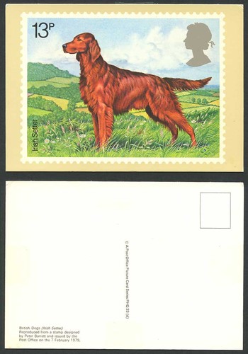 Phq card 13p british dogs - phq,