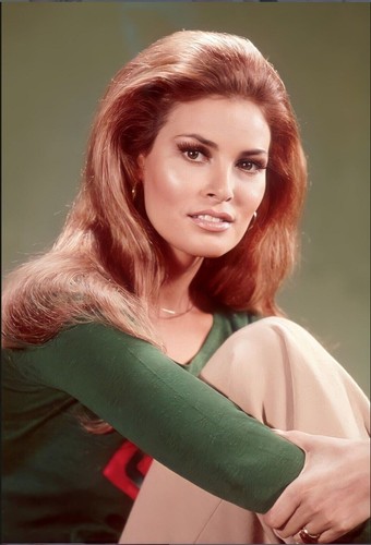 Raquel welch glossy photo - glossy, 8.5"