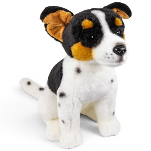 Carl dick jack russell black - dick,